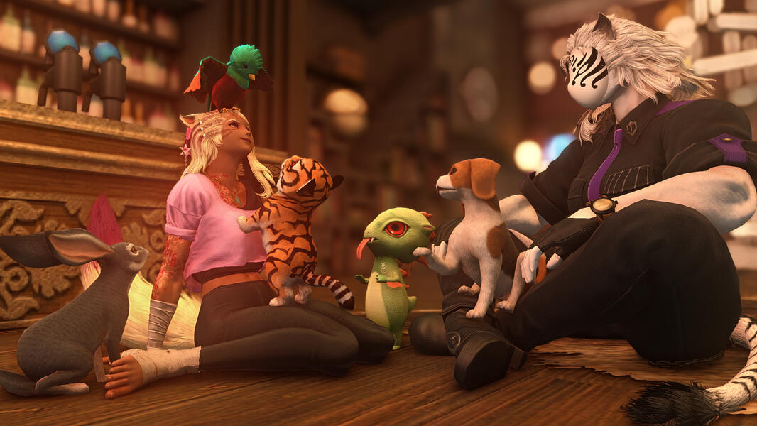 Look at all the critters!