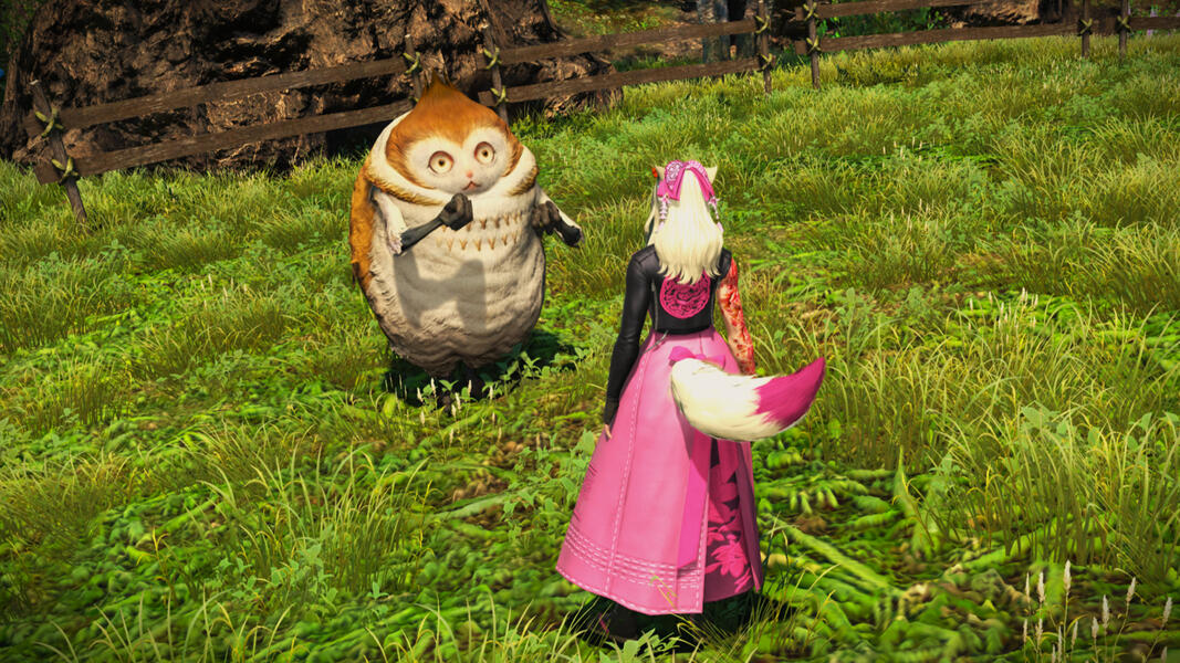 "Paissa... paissa paissa? What does that mean?"